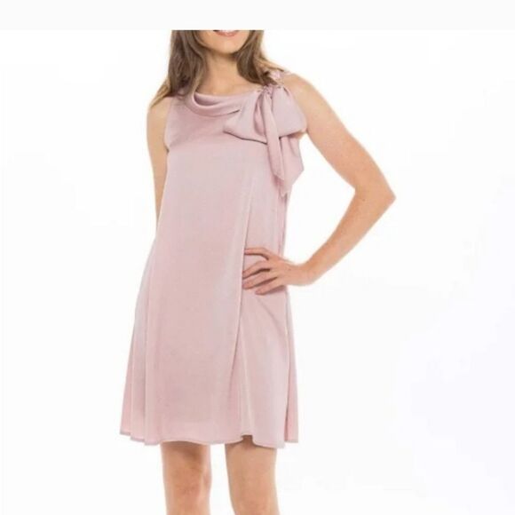 Signature By Robbie Bee Blush Hammered Satin Shift With Tie Detail Size 12P NWT - Picture 1 of 5